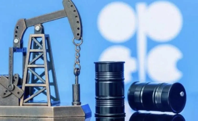 Представители стран ОПЕК+ на встрече по нефти.