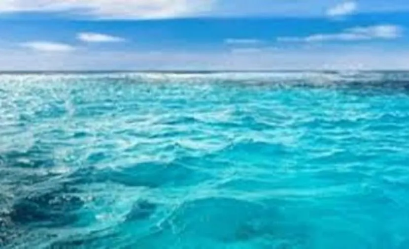 Оман формирует команду для защиты морской среды.